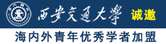 草BAV专区诚邀海内外青年优秀学者加盟西安交通大学